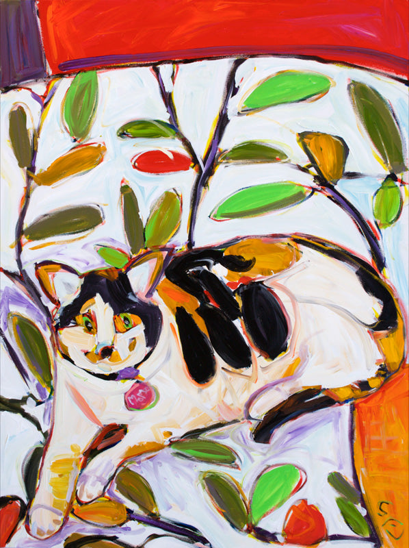 Momo Loves Matisse